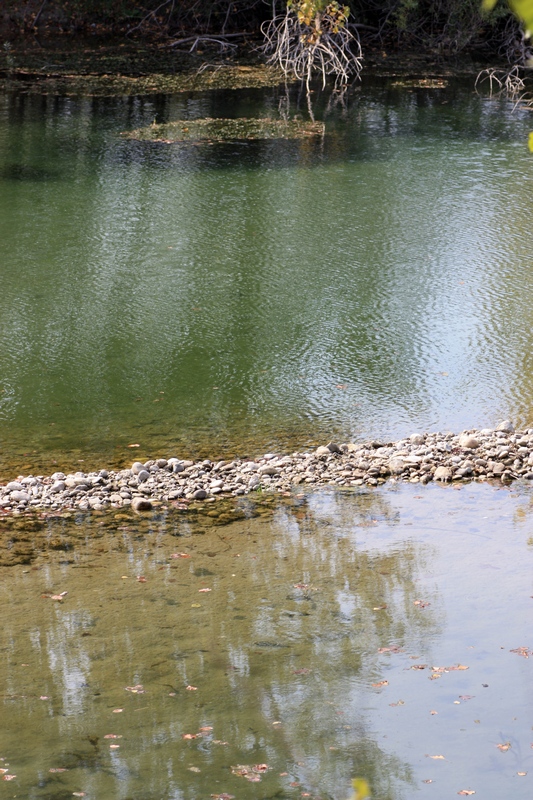 Pontevecchio MI Parco del Ticino 10/9/16